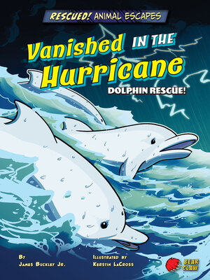 cover image of Vanished in the Hurricane